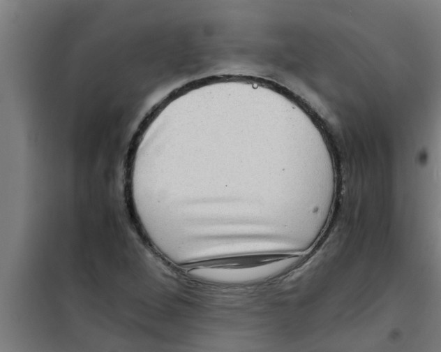 X0000100401264200807032005