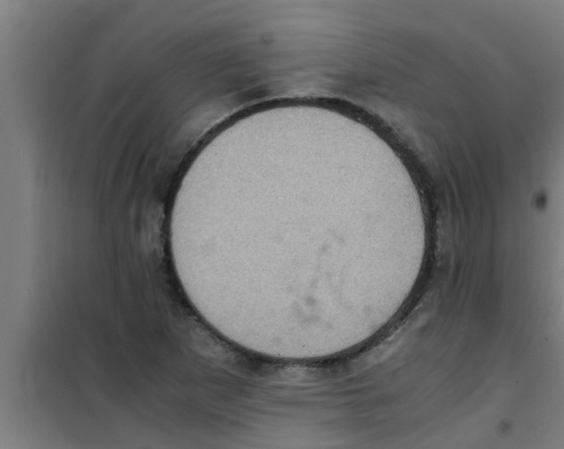 X0000100401265200807032005