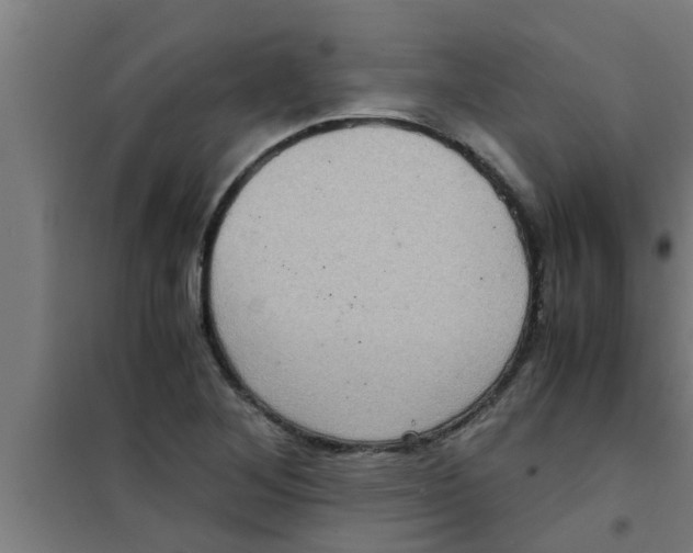X0000100401268200807032005
