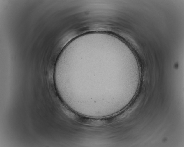 X0000100401273200807032005