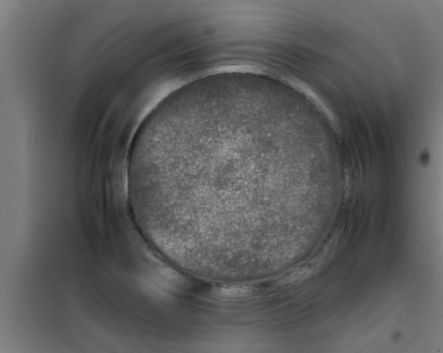 X0000100401274200807032005