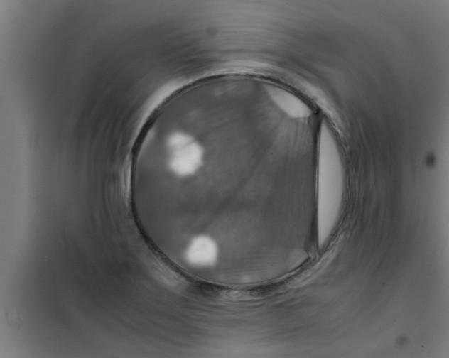 X0000100401275200807032005