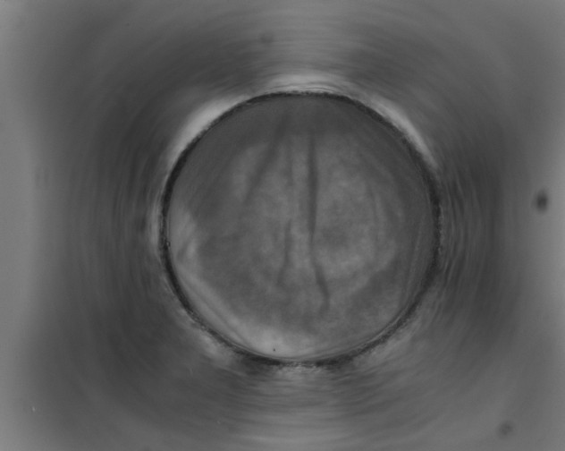 X0000100401277200807032005