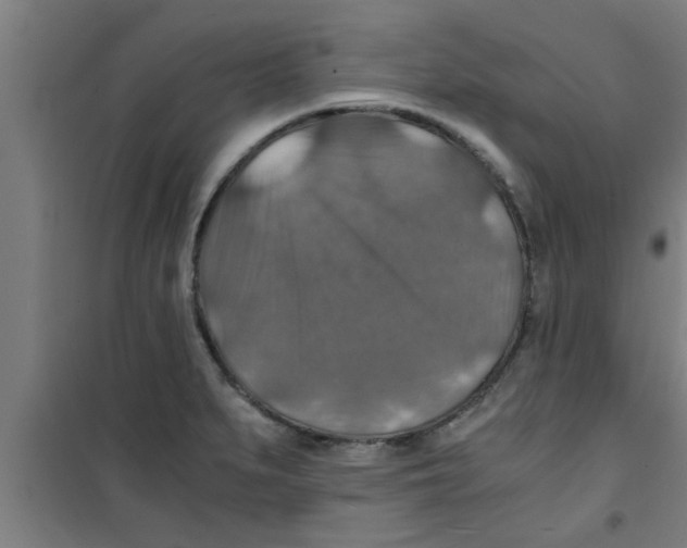 X0000100401279200807032004