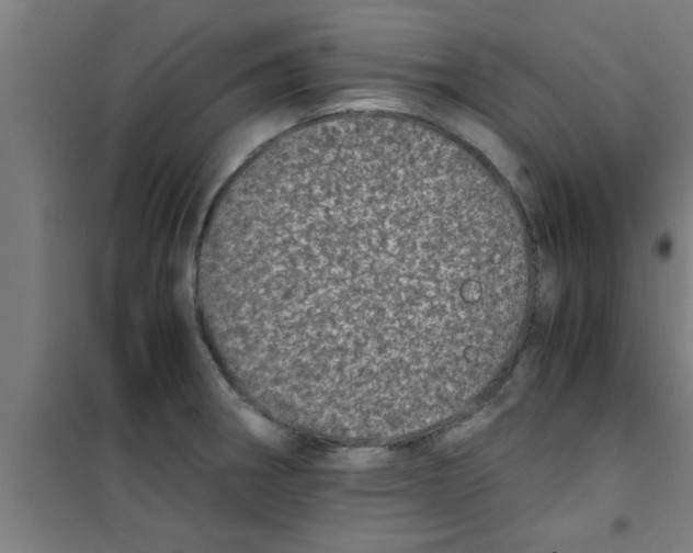 X0000100401282200807032004