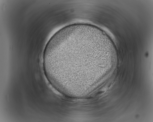 X0000100401287200807032004