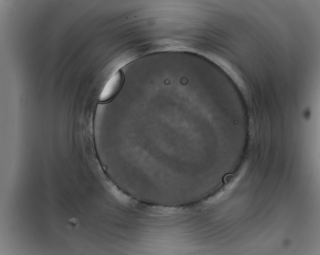 X0000100401289200807032004