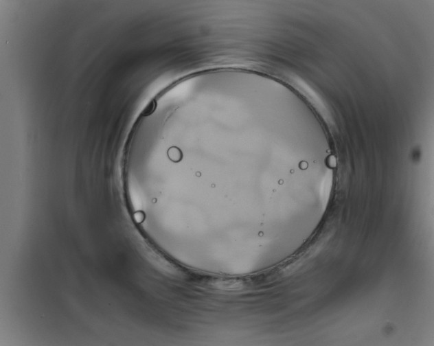 X0000100401291200807032004