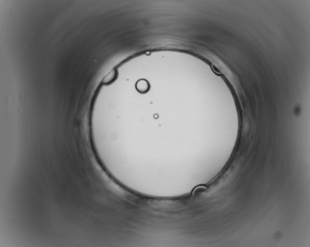 X0000100401293200807032004