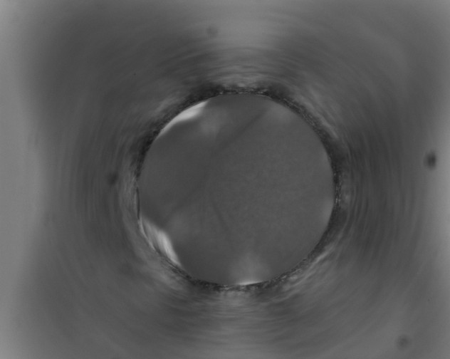 X0000100401297200807032004