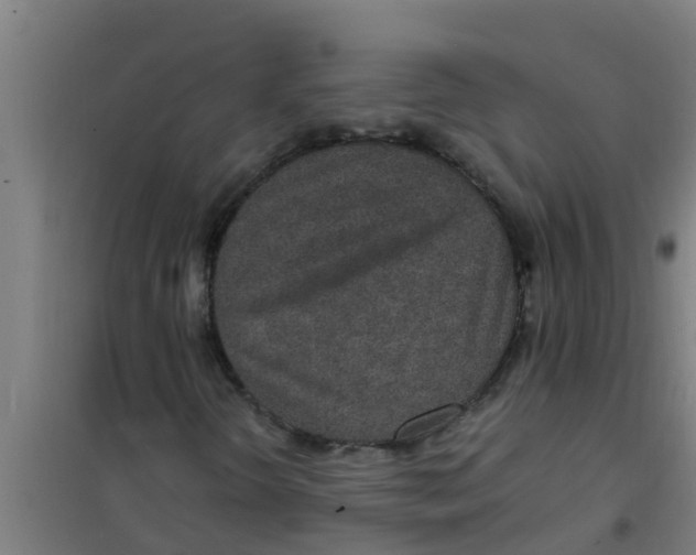 X0000100401298200807032004