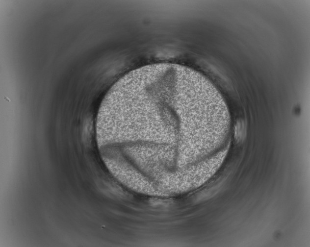 X0000100401299200807032004