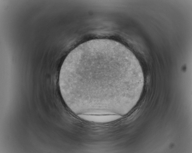 X0000100401300200807032004