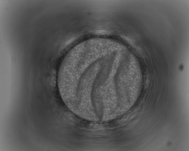 X0000100401301200807032004