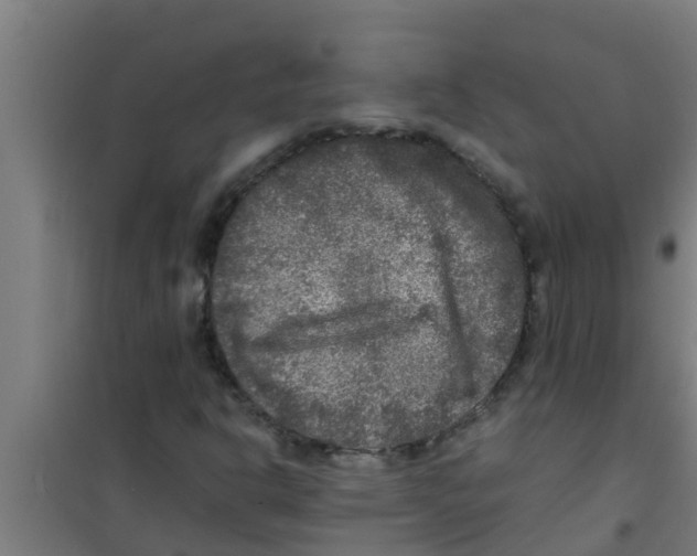 X0000100401302200807032004