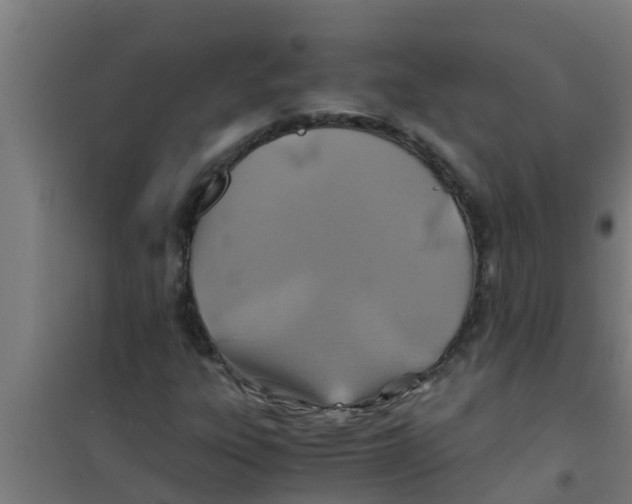 X0000100401303200807032004
