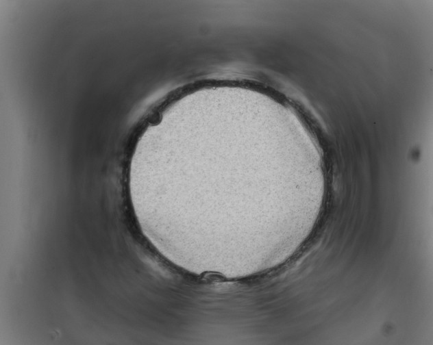X0000100401304200807032004