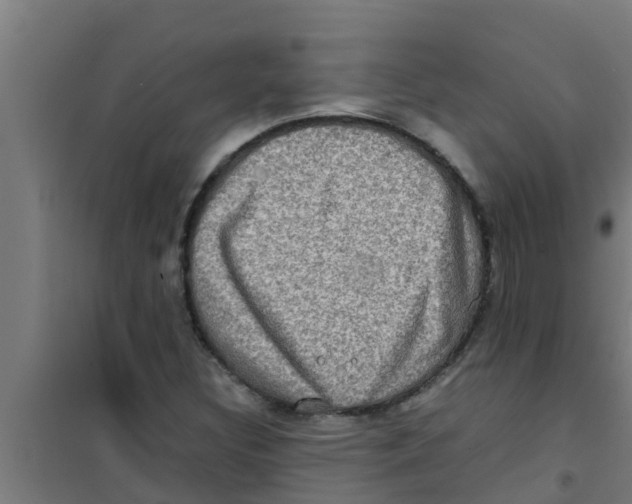 X0000100401308200807032004