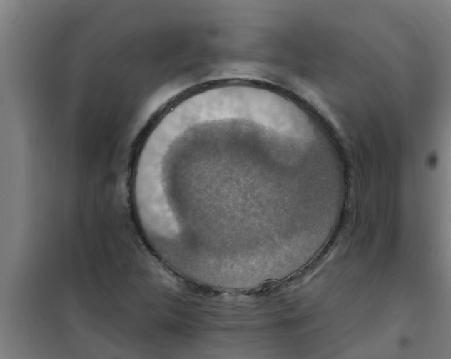 X0000100401312200807032004
