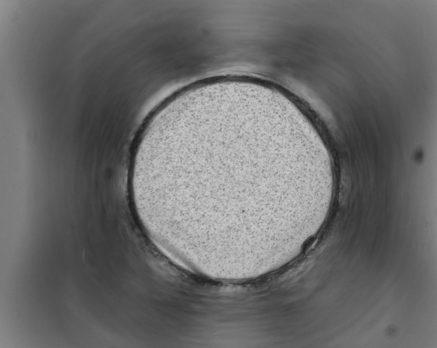 X0000100401316200807032004