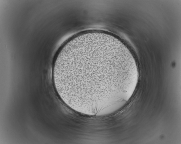 X0000100401320200807032004