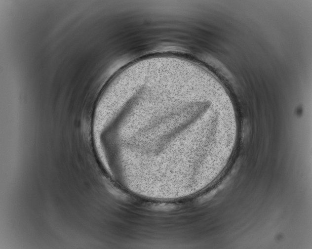 X0000100401321200807032004