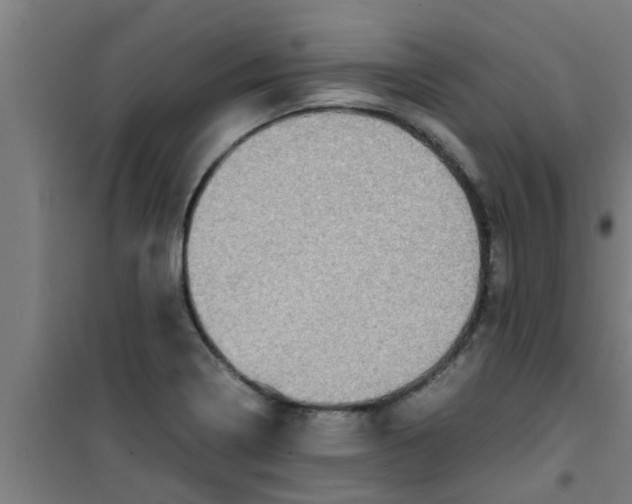 X0000100401322200807032004