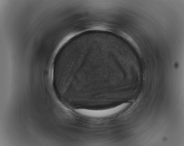 X0000100401323200807032004