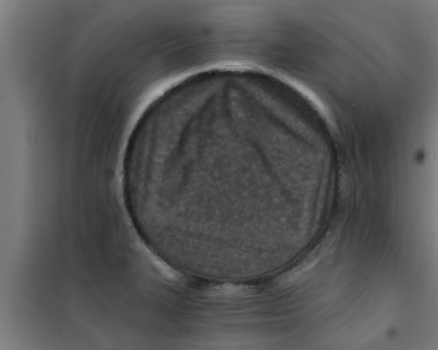 X0000100401327200807032004