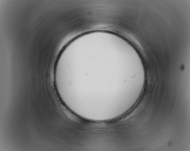 X0000100401328200807032004