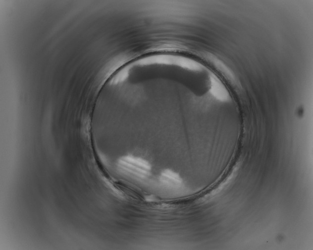 X0000100401329200807032004