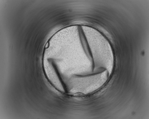 X0000100401330200807032004