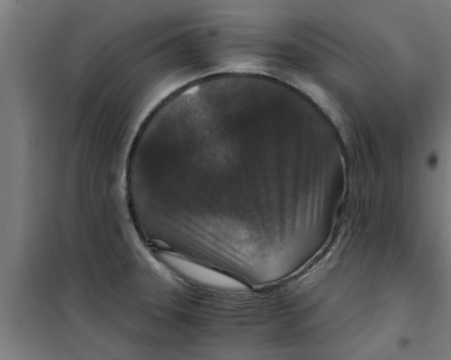 X0000100401331200807032004