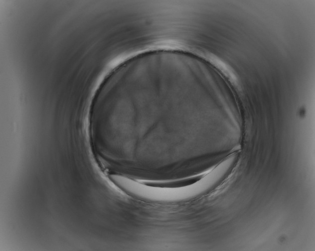 X0000100401334200807032004
