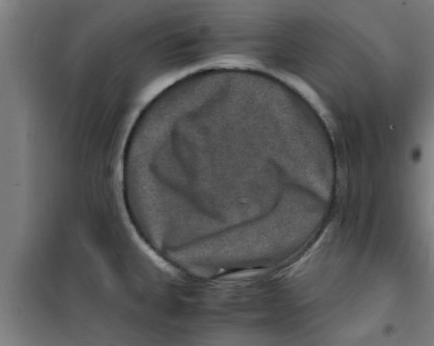 X0000100401335200807032004