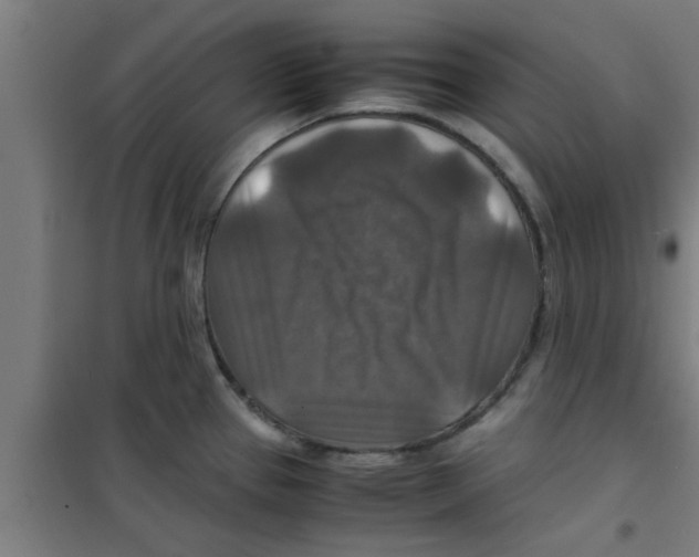 X0000100401337200807032004