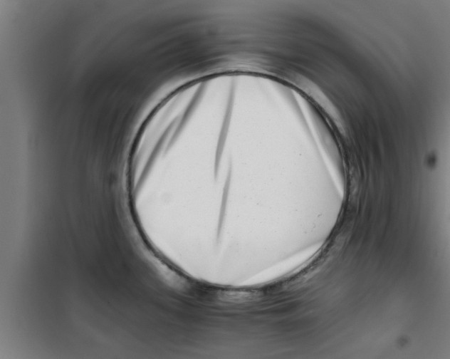 X0000100401339200807032004