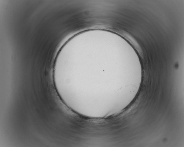 X0000100401340200807032004