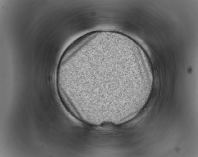 X0000100401343200807032004