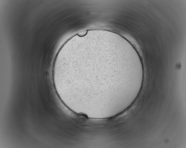 X0000100401344200807032004