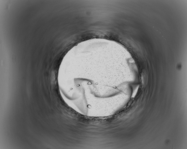 X0000100401347200807032004