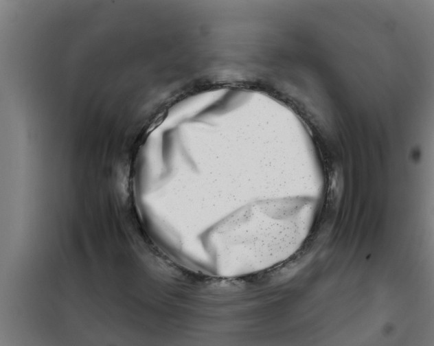 X0000100401348200807032004