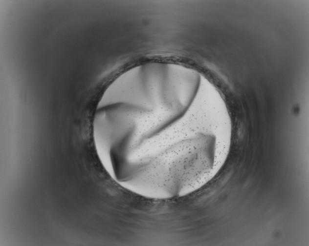 X0000100401350200807032003