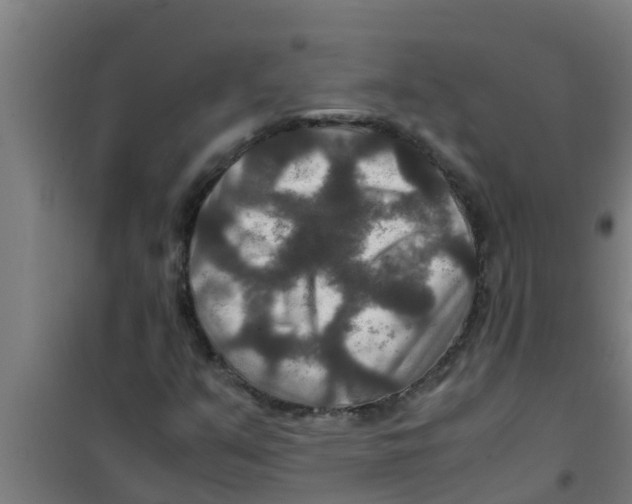 X0000100401351200807032003