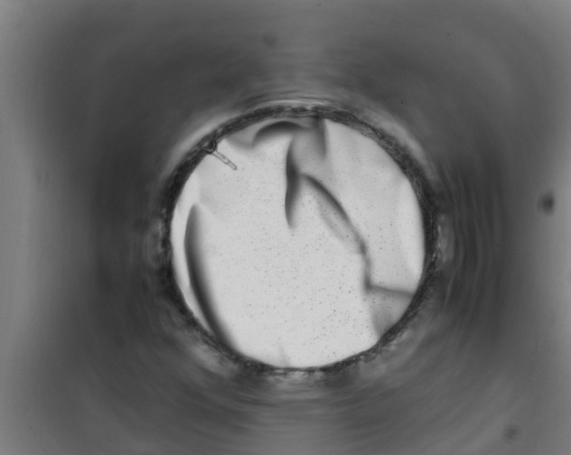 X0000100401352200807032003