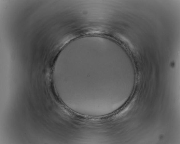 X0000100401353200807032003