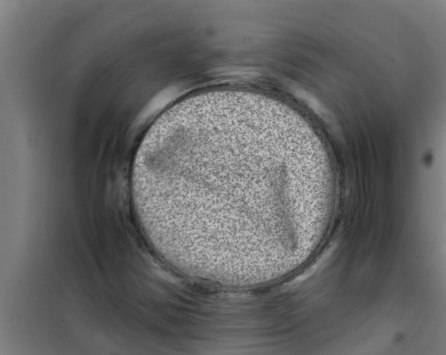 X0000100401354200807032003