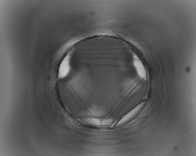 X0000100401359200807032003