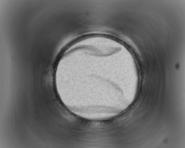 X0000100401360200807032003