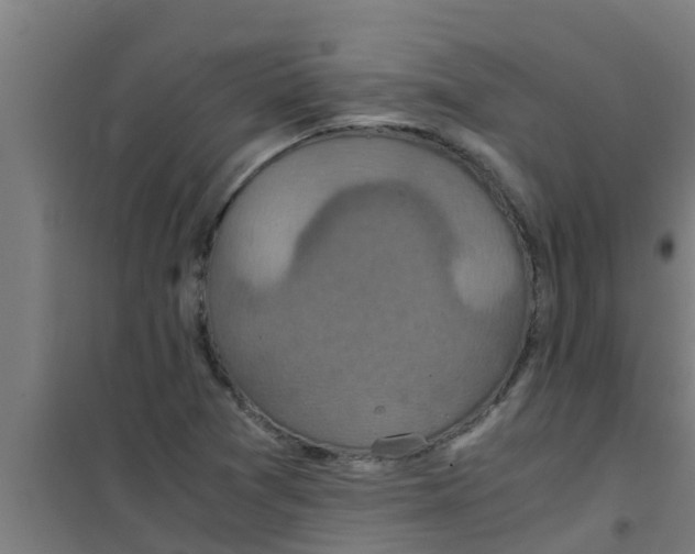 X0000100401361200807032003